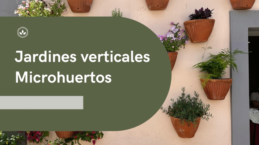 Jardines Verticales y Microhuertos: Reinventando la Naturaleza en tu Hogar